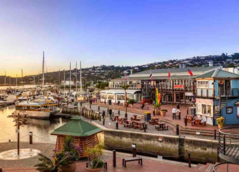 Perfect Knysna Getaway - Little Nest Studio Apartamento Exterior foto